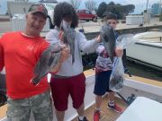 OBX Bait & Tackle Corolla Outer Banks, Corolla Fish Report