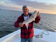 OBX Bait & Tackle Corolla Outer Banks, Corolla Fish Report