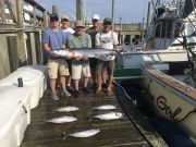 OBX Bait & Tackle Corolla Outer Banks, Corolla Fishing Report