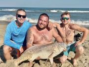 OBX Bait & Tackle Corolla Outer Banks, Corolla Fish Report