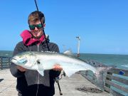 OBX Bait & Tackle Corolla Outer Banks, Corolla Fish Report