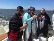 OBX Bait & Tackle Corolla Outer Banks, Corolla Fish Report