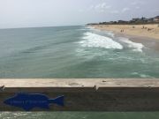 OBX Bait & Tackle Corolla Outer Banks, Corolla Fish Report