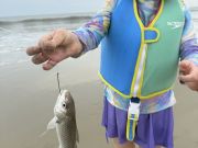 OBX Bait & Tackle Corolla Outer Banks, Corolla Fish Report