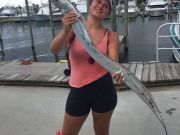 OBX Bait & Tackle Corolla Outer Banks, Corolla Fish Report