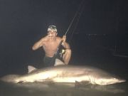 OBX Bait & Tackle Corolla Outer Banks, Corolla Fishing Report
