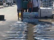 OBX Bait & Tackle Corolla Outer Banks, Corolla Fish Report