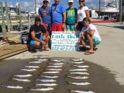 OBX Bait & Tackle Corolla Outer Banks, Corolla Fish Report