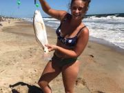 OBX Bait & Tackle Corolla Outer Banks, Corolla Fish report