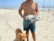 OBX Bait & Tackle Corolla Outer Banks, Corolla Fish Report