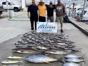 OBX Bait & Tackle Corolla Outer Banks, Corolla Fish Report