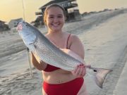 OBX Bait & Tackle Corolla Outer Banks, Corolla Fish Report