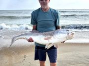 OBX Bait & Tackle Corolla Outer Banks, Corolla Fish Report