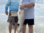 OBX Bait & Tackle Corolla Outer Banks, Corolla Fish Report