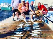 OBX Bait & Tackle Corolla Outer Banks, Corolla Fish Report