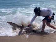 OBX Bait & Tackle Corolla Outer Banks, Corolla