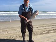 OBX Bait & Tackle Corolla Outer Banks, Corolla Fish report