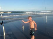 OBX Bait & Tackle Corolla Outer Banks, Corolla Fish Report