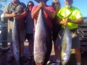 OBX Bait & Tackle Corolla Outer Banks, Corolla Fish Report