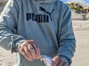 OBX Bait & Tackle Corolla Outer Banks, Corolla Fish Report