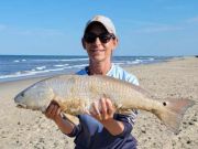 OBX Bait & Tackle Corolla Outer Banks, Corolla Fish Report