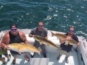 OBX Bait & Tackle Corolla Outer Banks, Corolla Fish Report