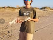 OBX Bait & Tackle Corolla Outer Banks, Corolla Fish Report