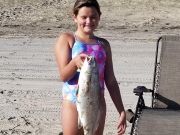 OBX Bait & Tackle Corolla Outer Banks, Corolla Fish Report