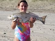 OBX Bait & Tackle Corolla Outer Banks, Corolla Fish Report