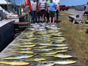 OBX Bait & Tackle Corolla Outer Banks, Corolla Fish Report