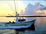 OBX Bait & Tackle Corolla Outer Banks, Corolla Fish Report