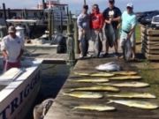 OBX Bait & Tackle Corolla Outer Banks, Corolla Fish Report