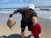 OBX Bait & Tackle Corolla Outer Banks, Corolla Fish Report