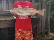 OBX Bait & Tackle Corolla Outer Banks, Corolla Fishing Report