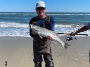 OBX Bait & Tackle Corolla Outer Banks, Corolla Fish Report