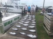 OBX Bait & Tackle Corolla Outer Banks, Corolla Fish Report