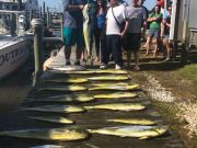 OBX Bait & Tackle Corolla Outer Banks, Corolla Fish Report