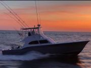 OBX Bait & Tackle Corolla Outer Banks, Corolla Fish Report