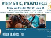 Corolla Wild Horse Fund, Mustang Mornings at the Farm