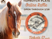 Corolla Wild Horse Fund, Valentine’s Day Raffle Fundraiser