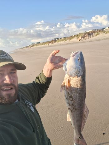 OBX Bait & Tackle Corolla Outer Banks, Corolla Fish Report