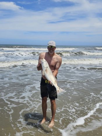OBX Bait & Tackle Corolla Outer Banks, Corolla Fish Report