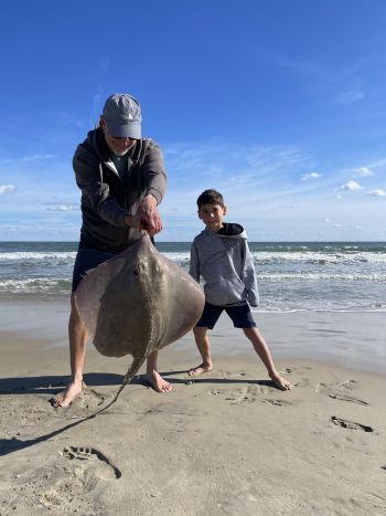 OBX Bait & Tackle Corolla Outer Banks, Corolla Fish Report