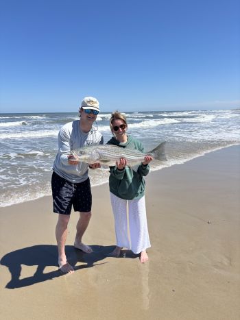 OBX Bait & Tackle Corolla Outer Banks, Corolla Fish Report