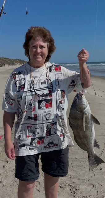 OBX Bait & Tackle Corolla Outer Banks, Corolla Fish Report