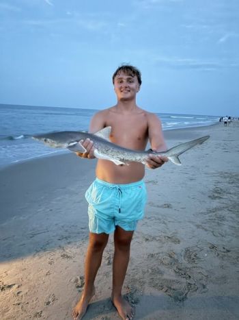 OBX Bait & Tackle Corolla Outer Banks, Corolla Fish Report