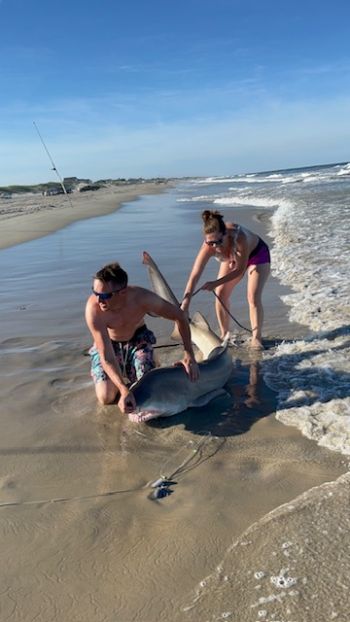 OBX Bait & Tackle Corolla Outer Banks, Corolla Fish Report