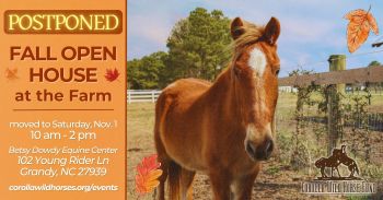 Corolla Wild Horse Fund, Fall Open House at the Farm