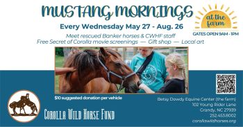 Corolla Wild Horse Fund, Mustang Mornings at the Farm