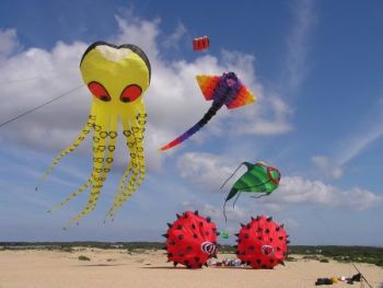 Kitty Hawk Kites, 44th Annual Rogallo Kite Festival